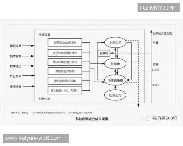 足球跳水球星背后的选拔机制与成长轨迹揭秘 足球跳水球星背后的选拔机制与成长轨迹揭秘